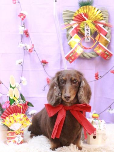 20230125ジョナくん